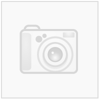 Bislett Volley Rygglogo N Transfermerke 250 mm x 36 mm